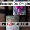 Erección Del Dragón 38